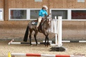 26-ApHC GT_175